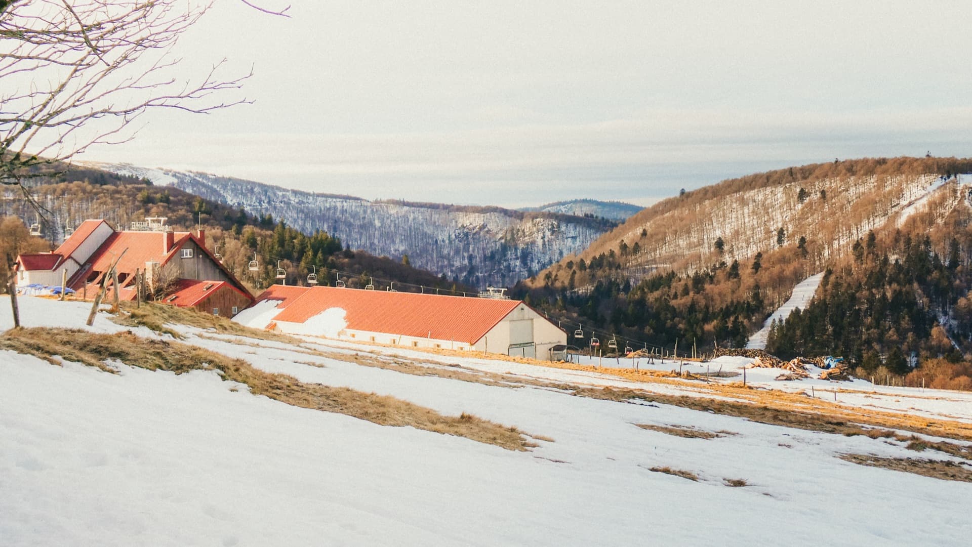 Paysage de montagne enneigé