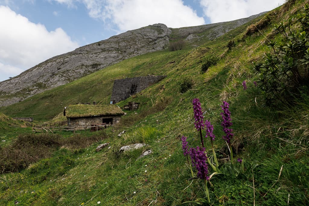 Parc national des Pyrénées - Plateau de Houndas, photo principale