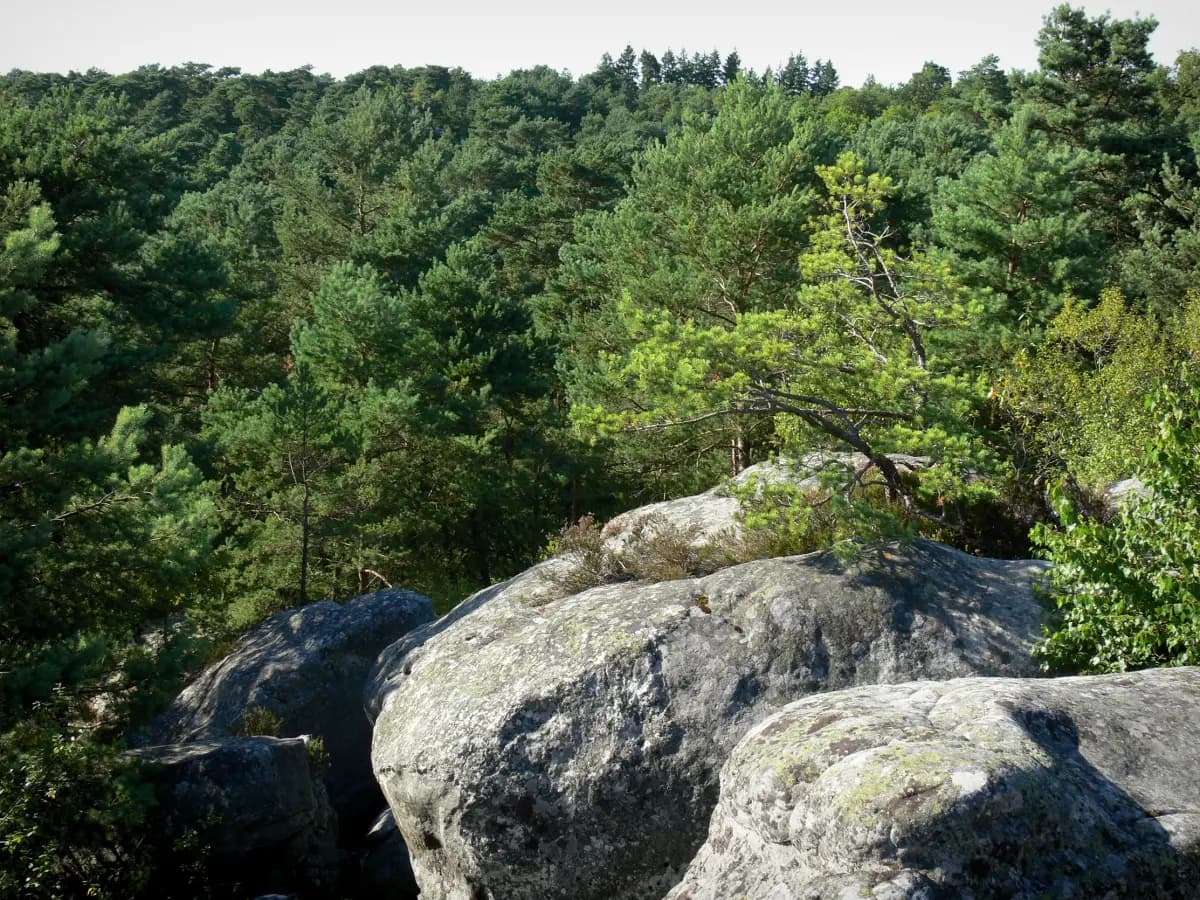 La Croix du Calvaire, photo principale