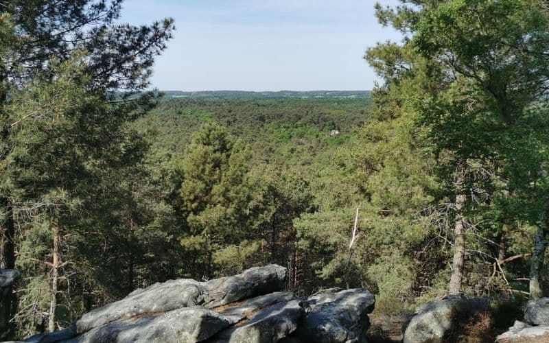 Circuit des 25 Bosses - Fontainebleau, photo principale